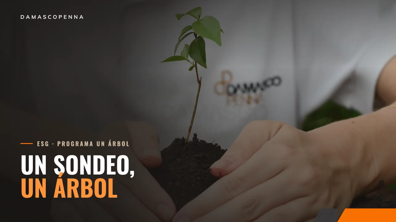 Proyecto Un Árbol · video de Damasco Penna